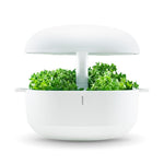 Smart Garden 6